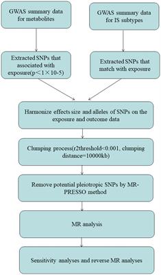 Association of metabolites on ischemic stroke subtypes: a 2-sample Mendelian randomization study